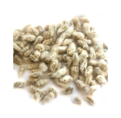 COTTONSEED