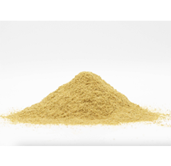 CORN FERMENTED PROTEIN